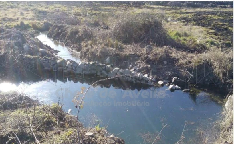 Quinta para Venda em Arez e Amieira do Tejo Foto 11