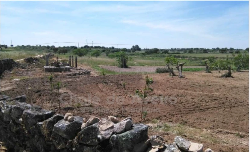 Quinta para Venda em Arez e Amieira do Tejo Foto 14