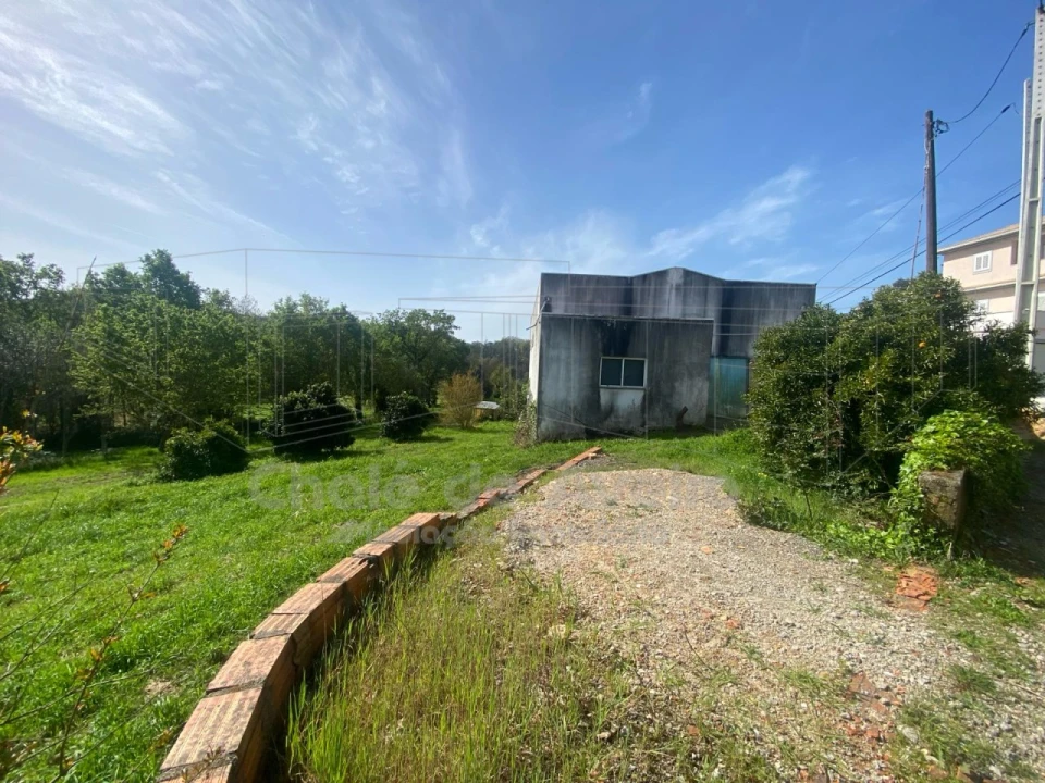 Armazém para Venda em Belazaima do Chão, Castanheira do Vouga e Agadão Foto 6