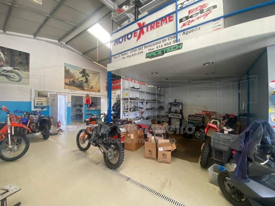 Armazém para Venda em Belazaima do Chão, Castanheira do Vouga e Agadão Foto 17