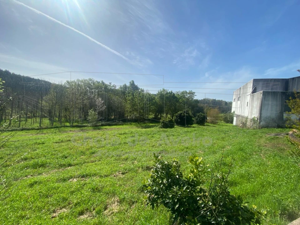 Armazém para Venda em Belazaima do Chão, Castanheira do Vouga e Agadão Foto 10