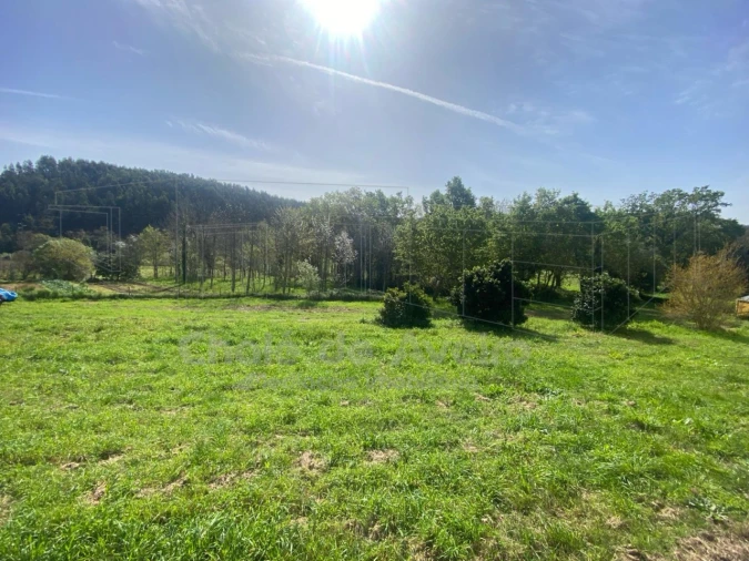 Armazém para Venda em Belazaima do Chão, Castanheira do Vouga e Agadão Foto 9