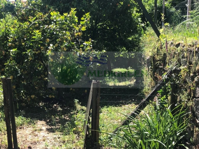 Moradia T3 para Venda em Couto de Esteves Foto 50