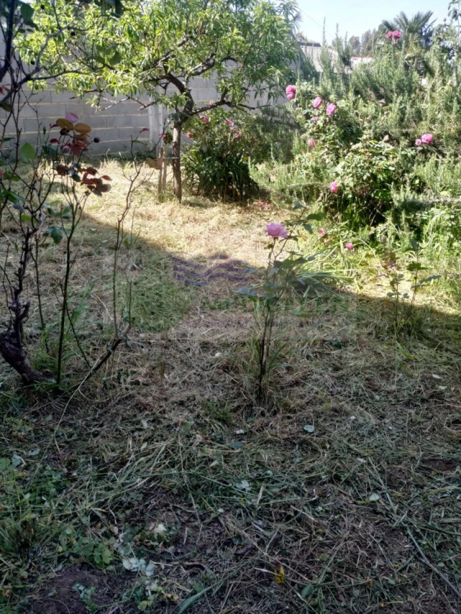 Moradia T3 para Venda em Albergaria-A-Velha e Valmaior Foto 25