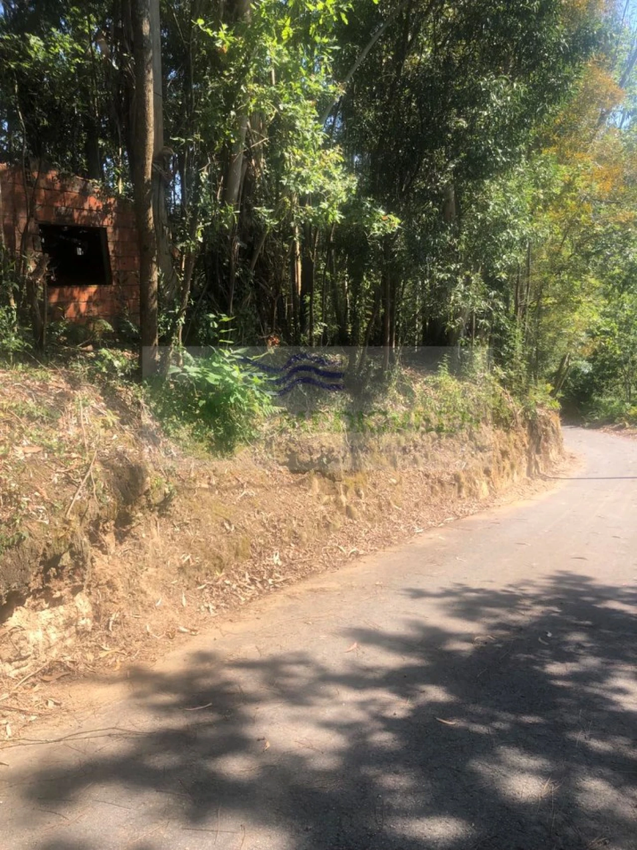 Quinta para Venda em Cedrim e Paradela Foto 2