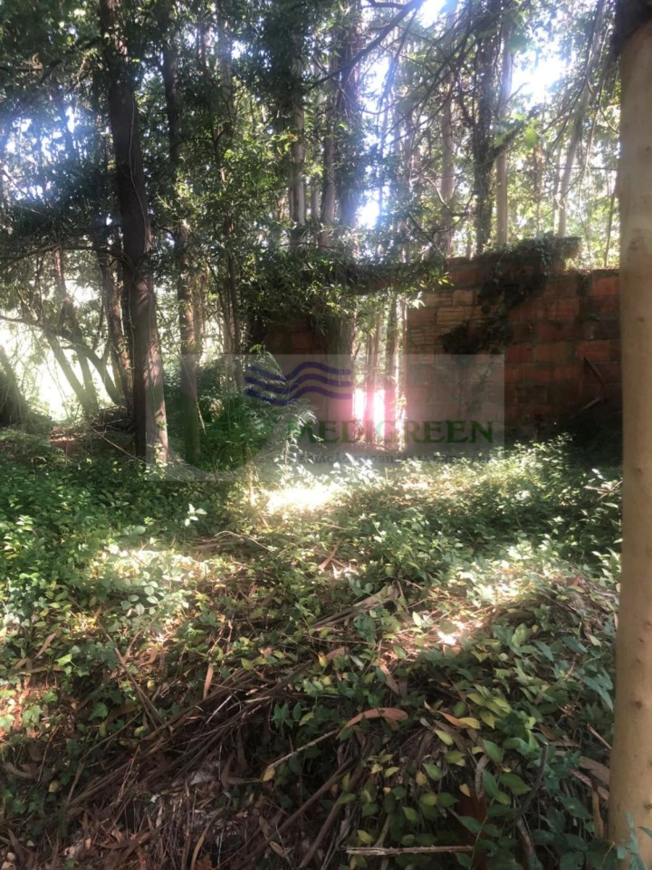 Quinta para Venda em Cedrim e Paradela Foto 3