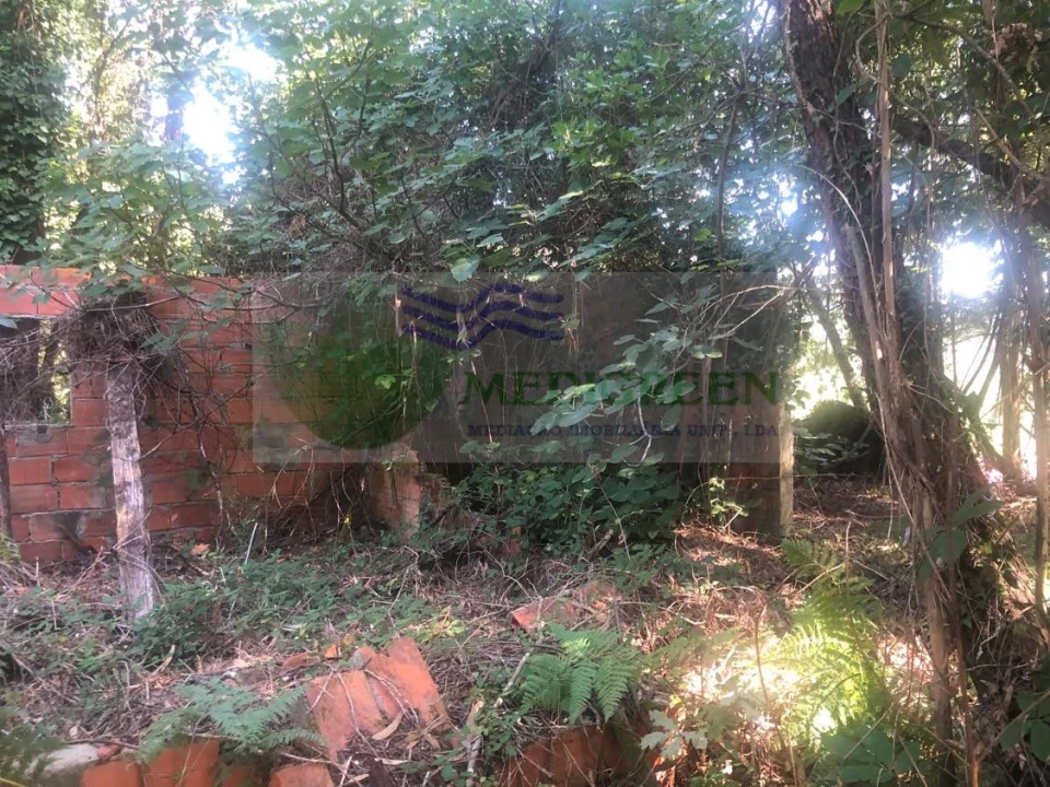 Quinta para Venda em Cedrim e Paradela Foto 11