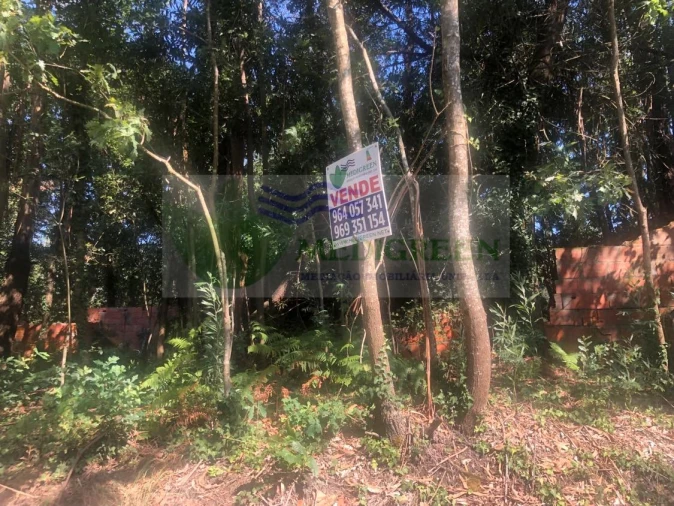 Quinta para Venda em Cedrim e Paradela