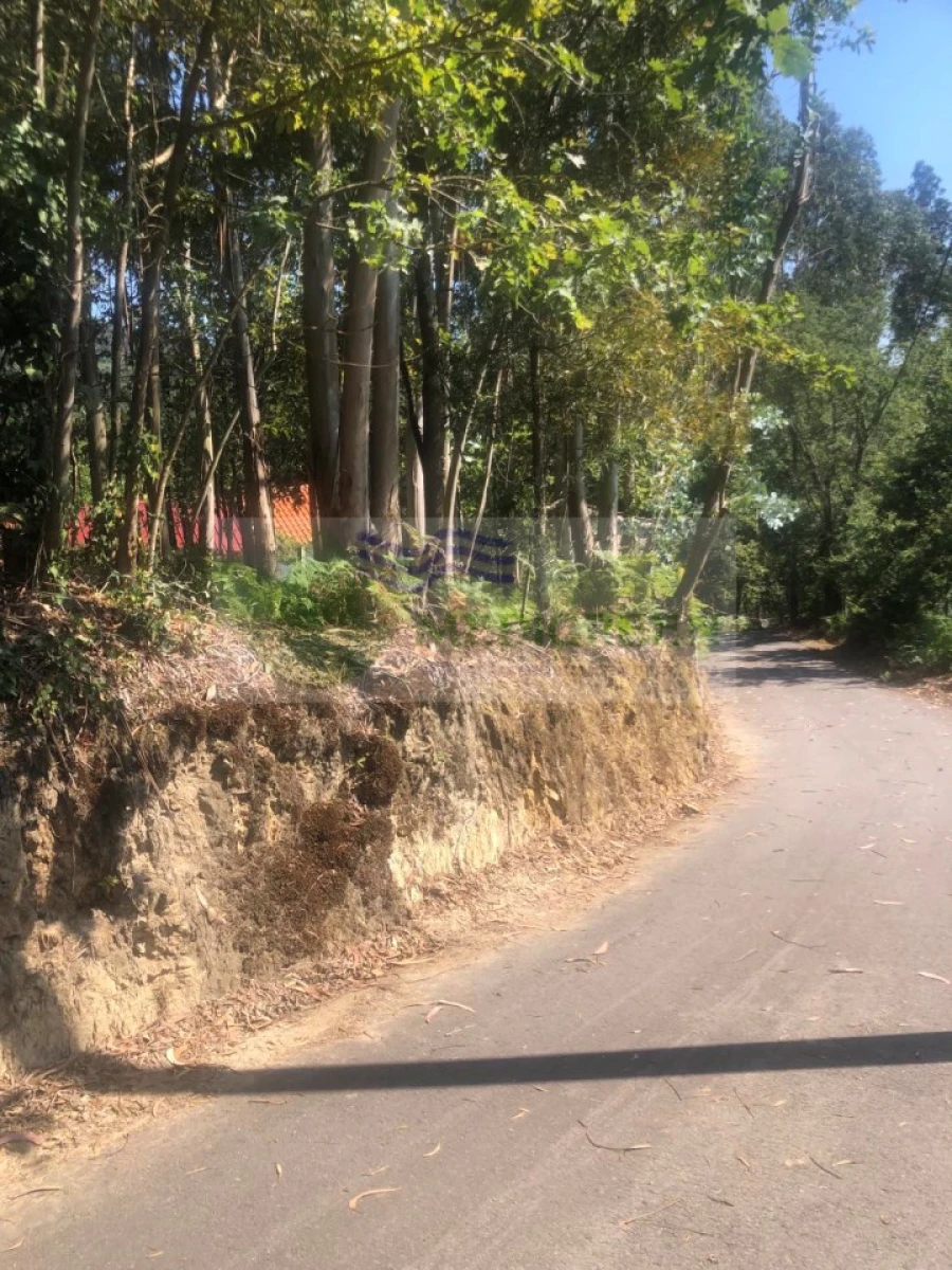 Quinta para Venda em Cedrim e Paradela Foto 5