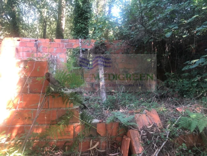 Quinta para Venda em Cedrim e Paradela Foto 6