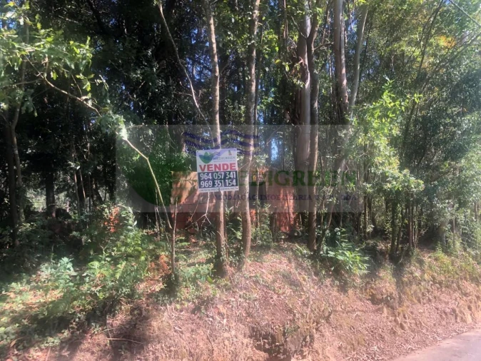 Quinta para Venda em Cedrim e Paradela Foto 9