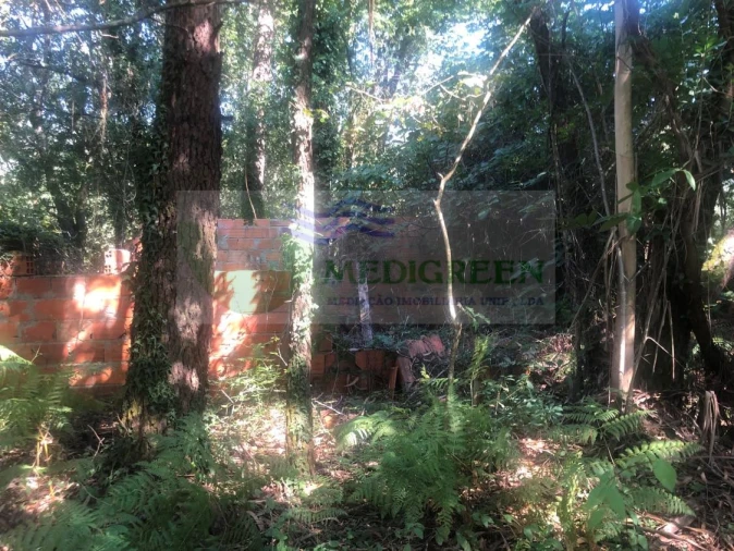 Quinta para Venda em Cedrim e Paradela Foto 10