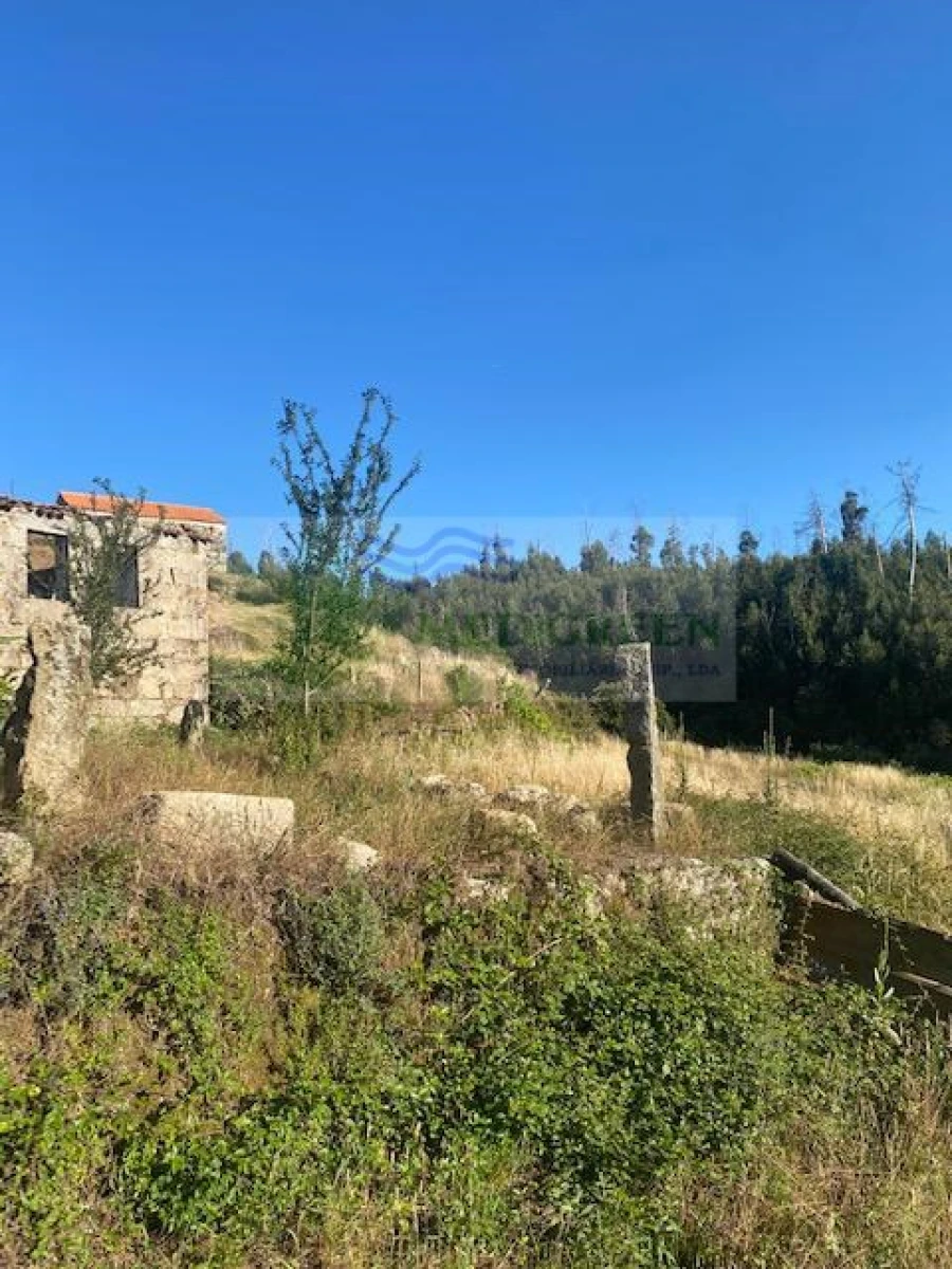 Moradia para Venda em Cambra e Carvalhal de Vermilhas Foto 3