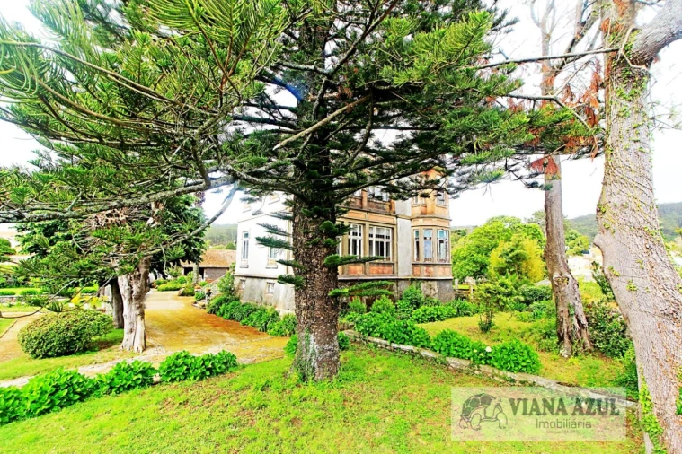 Quinta T8 para Venda em Afife Foto 10