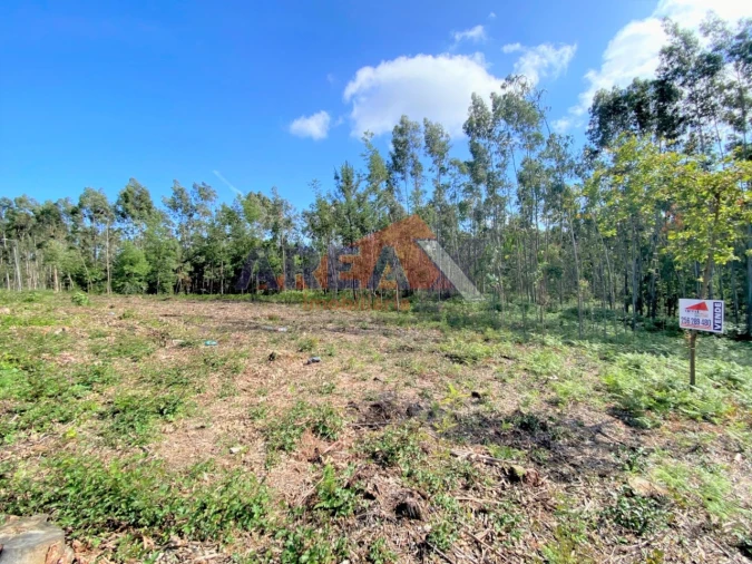 Terreno Agricola ou Rústico para Venda em Branca Foto 5