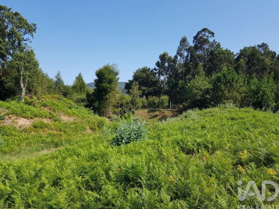 Terreno para Venda em Reboreda e Nogueira Foto 7