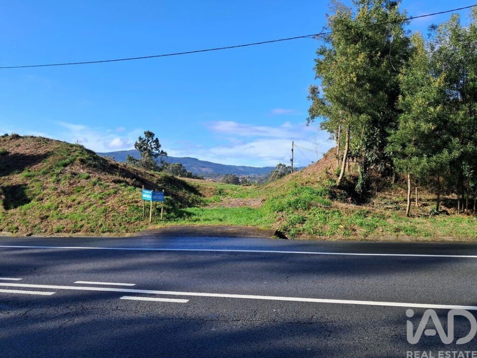 Terreno para Venda em Reboreda e Nogueira Foto 5
