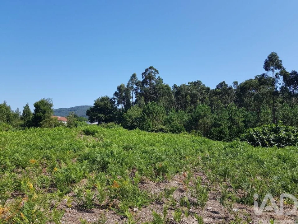 Terreno para Venda em Reboreda e Nogueira Foto 4