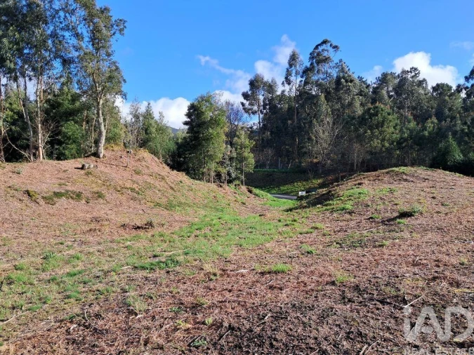 Terreno para Venda em Reboreda e Nogueira Foto 2