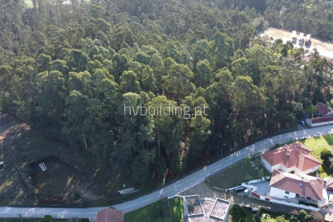 Terreno para Venda em Perelhal Foto 9