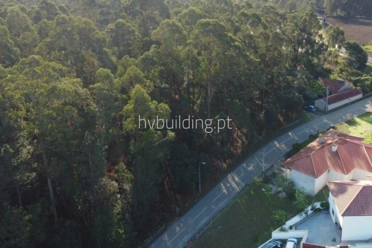 Terreno para Venda em Perelhal Foto 1