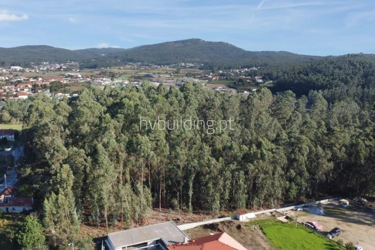 Terreno para Venda em Perelhal Foto 5