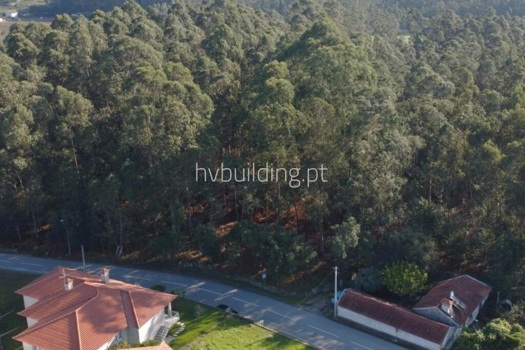 Terreno para Venda em Perelhal Foto 2