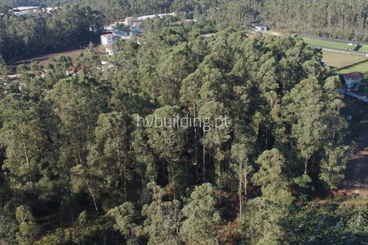 Terreno para Venda em Perelhal Foto 7