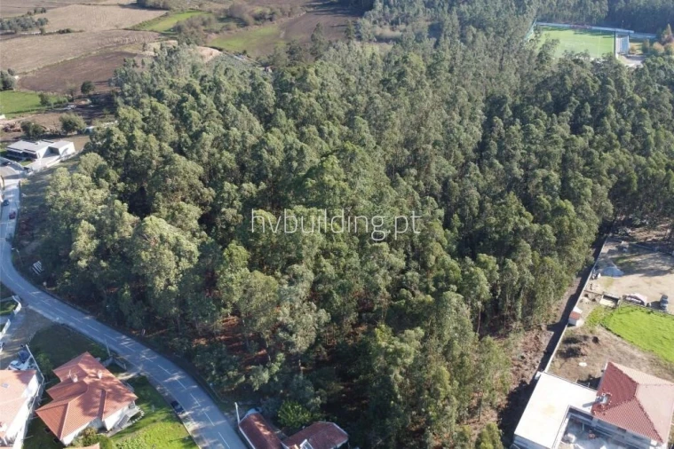 Terreno para Venda em Perelhal Foto 8