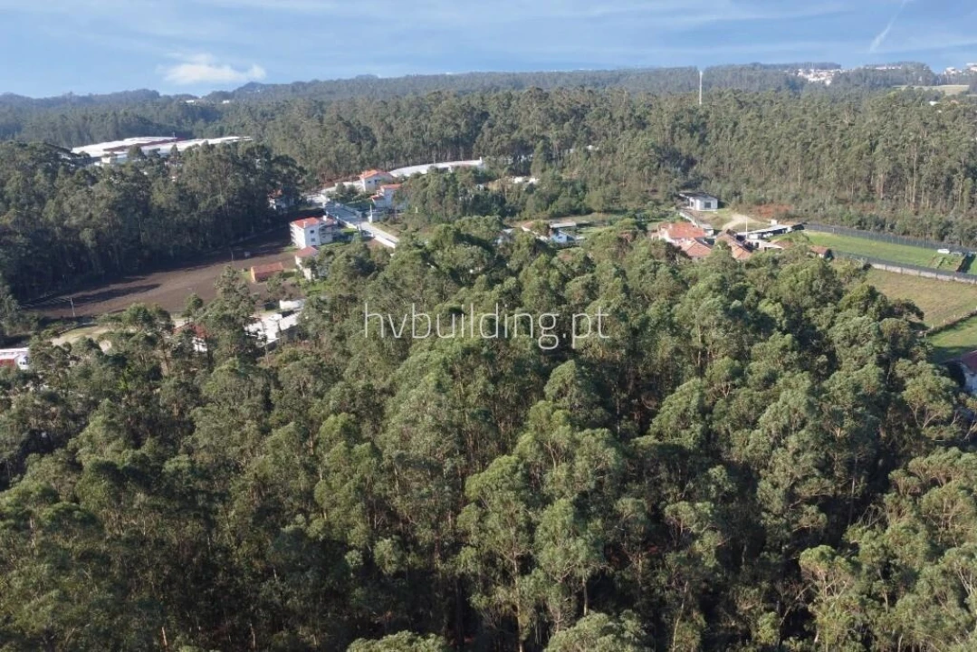 Terreno para Venda em Perelhal Foto 6