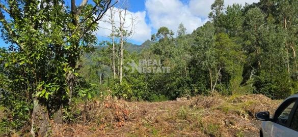 Terreno para Venda em São Vicente
