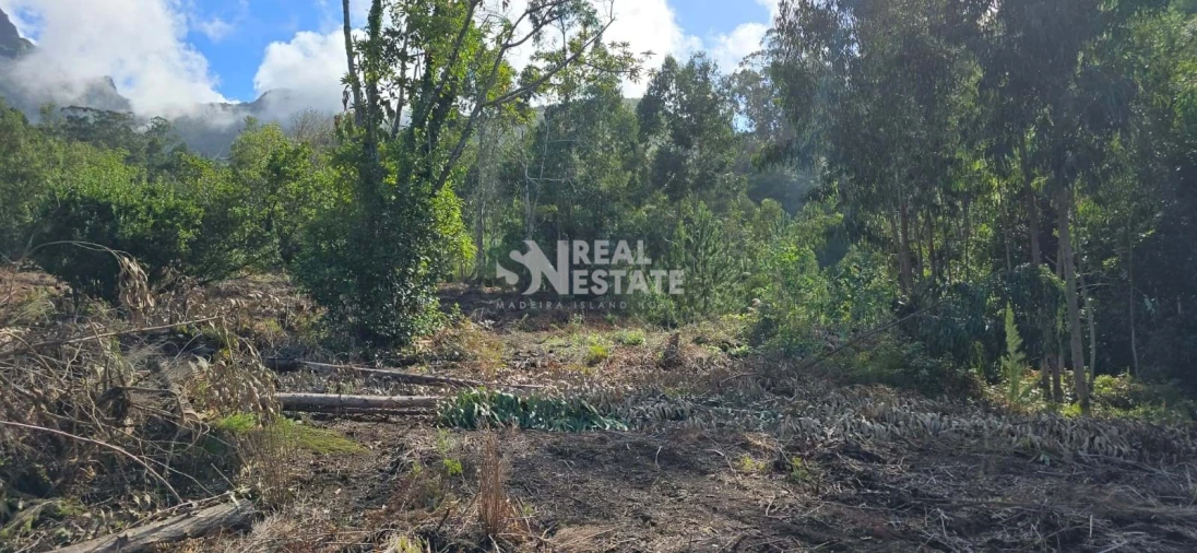 Terreno para Venda em São Vicente Foto 12