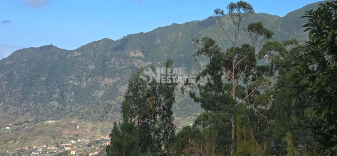 Terreno para Venda em São Vicente Foto 4