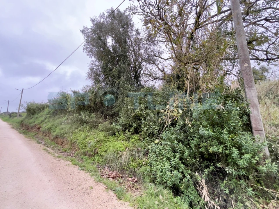 Moradia T9 para Venda em Alhandra, São João dos Montes e Calhandriz Foto 25