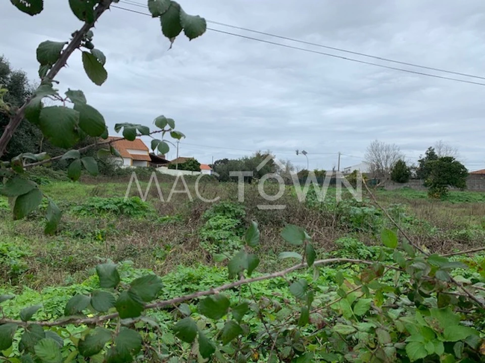 Terreno para Venda em Brogueira, Parceiros de Igreja e Alcorochel Foto 10