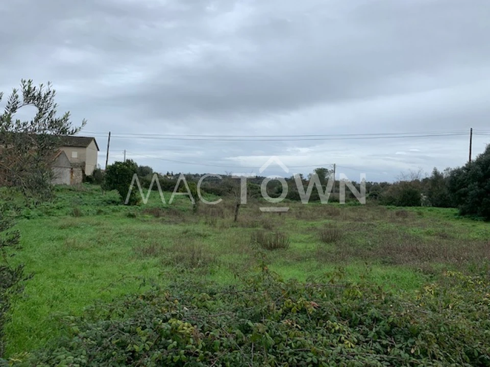 Terreno para Venda em Brogueira, Parceiros de Igreja e Alcorochel Foto 12