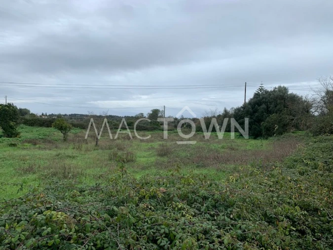 Terreno para Venda em Brogueira, Parceiros de Igreja e Alcorochel Foto 14