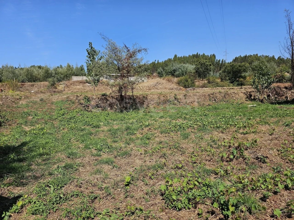 Terreno Agricola ou Rústico para Venda em São Martinho da Cortiça Foto 9