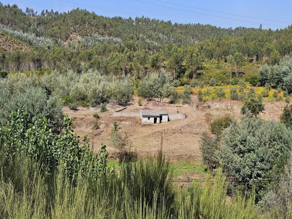 Terreno Agricola ou Rústico para Venda em São Martinho da Cortiça Foto 16