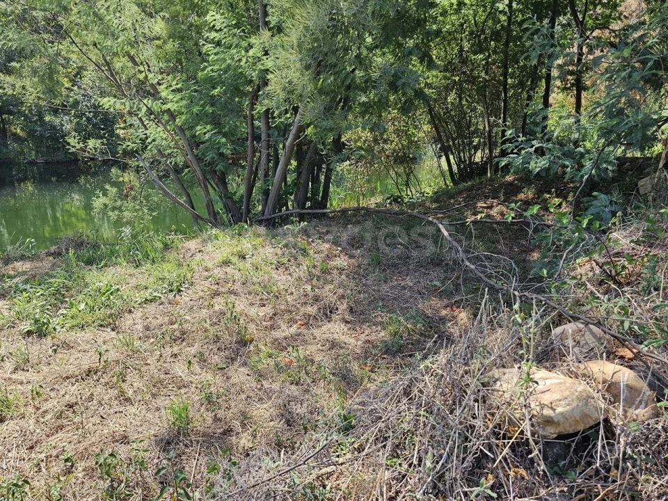 Terreno Agricola ou Rústico para Venda em São Martinho da Cortiça Foto 18