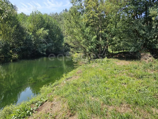 Terreno Agricola ou Rústico para Venda em São Martinho da Cortiça Foto 1