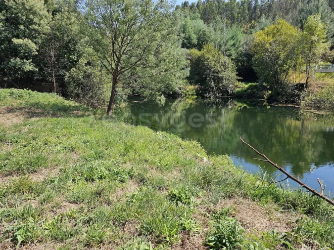 Terreno Agricola ou Rústico para Venda em São Martinho da Cortiça Foto 2
