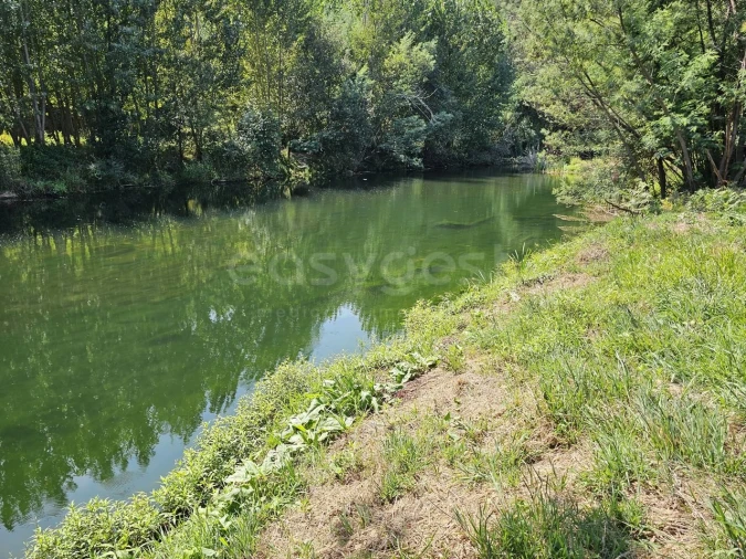 Terreno Agricola ou Rústico para Venda em São Martinho da Cortiça Foto 3