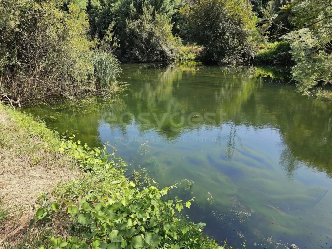 Terreno Agricola ou Rústico para Venda em São Martinho da Cortiça Foto 7