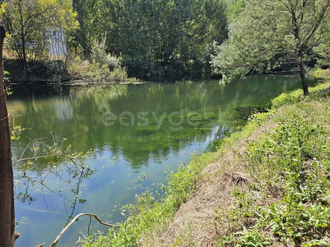 Terreno Agricola ou Rústico para Venda em São Martinho da Cortiça Foto 8