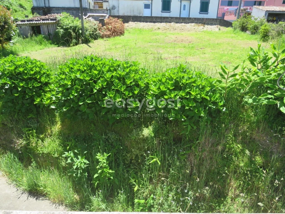 Moradia T3 para Venda em Remedios Foto 19