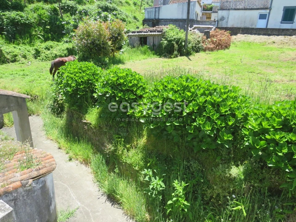 Moradia T3 para Venda em Remedios Foto 20