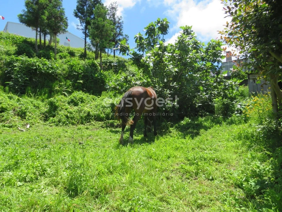 Moradia T3 para Venda em Remedios Foto 21