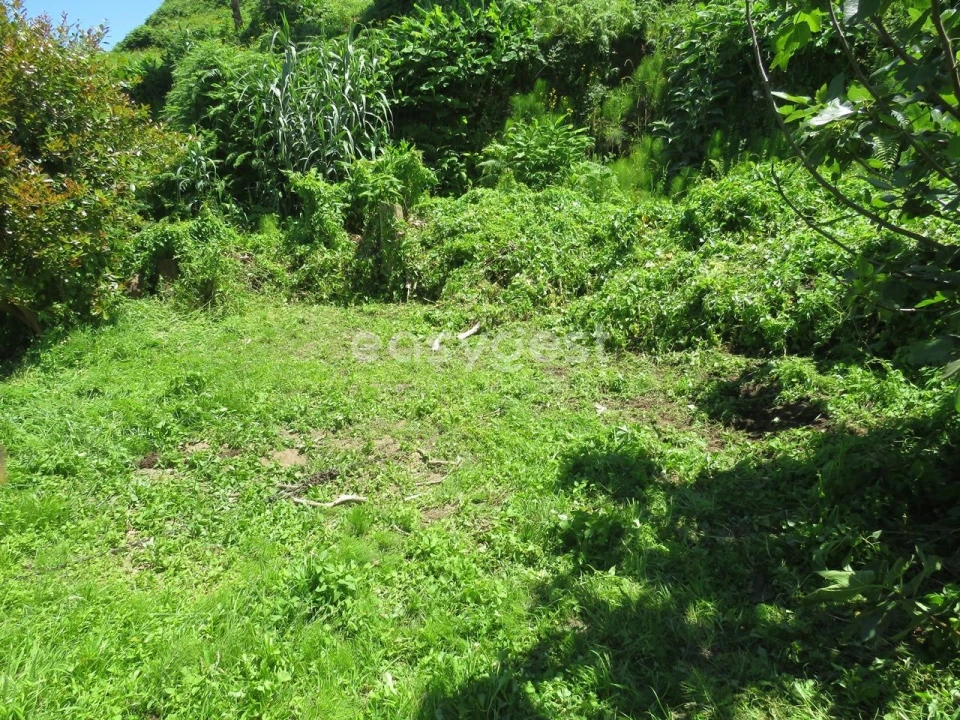 Moradia T3 para Venda em Remedios Foto 27