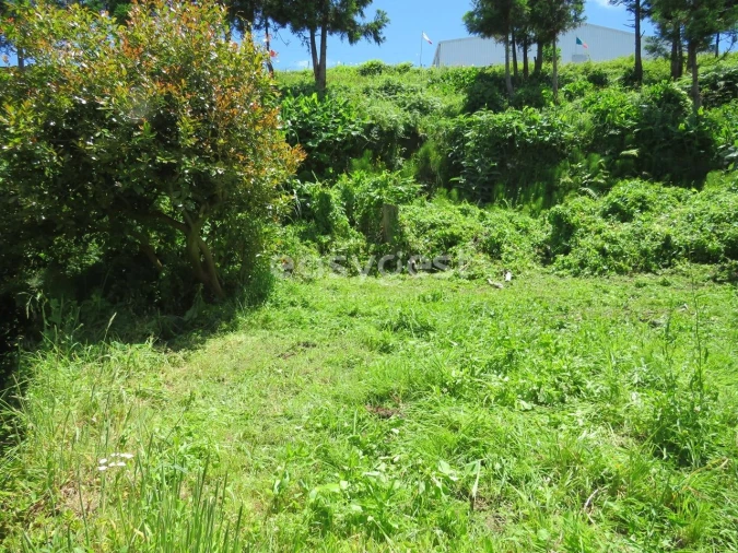 Moradia T3 para Venda em Remedios Foto 22